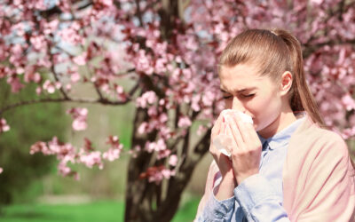 Spring Allergies vs. Sinus Infection: Symptoms, Causes, and When to Seek Urgent Care